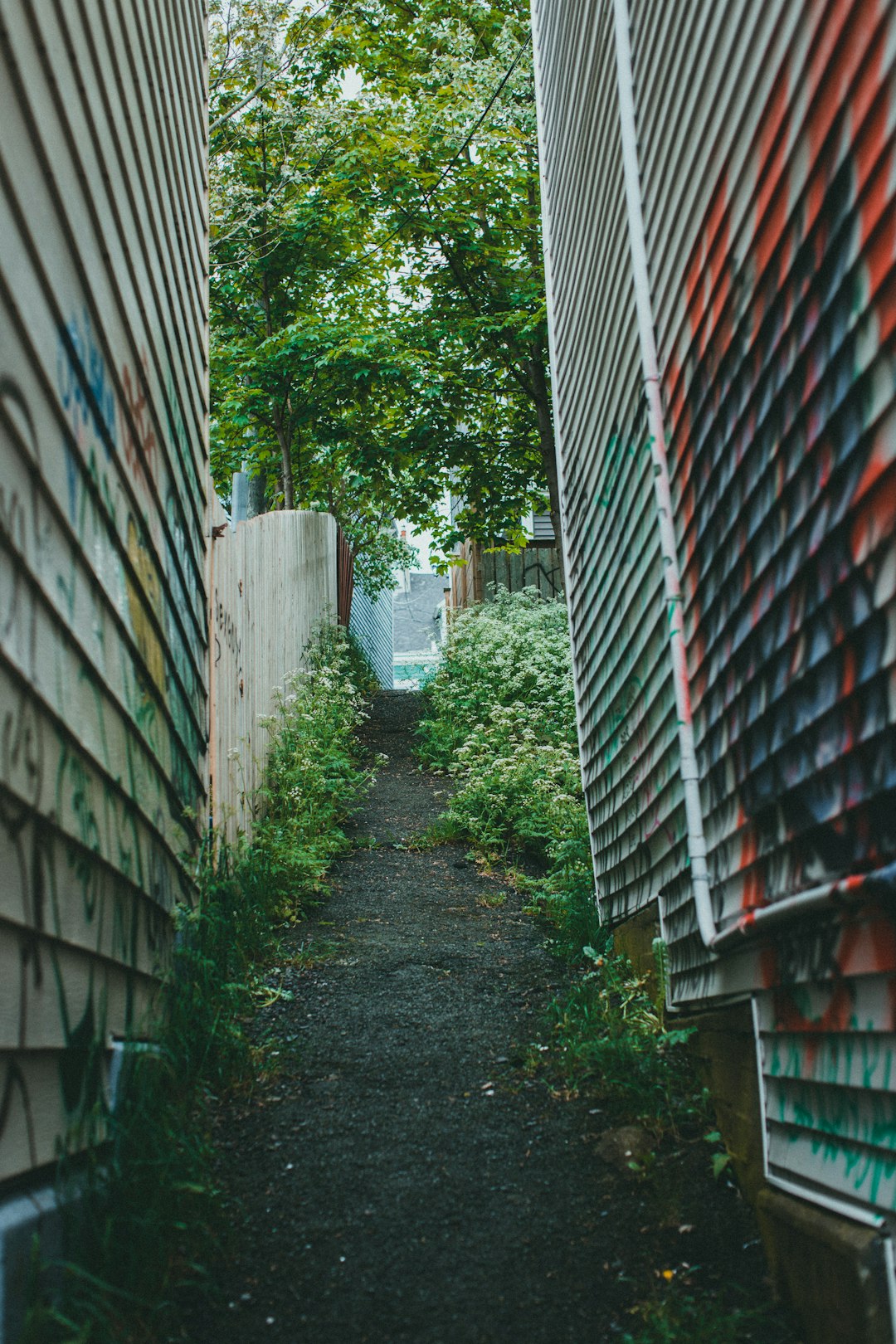 homeless identification document recovery guide