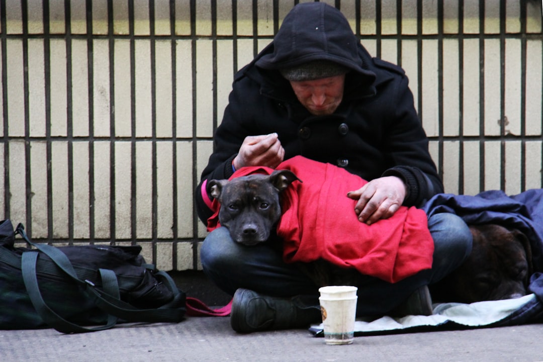 pet friendly homeless assistance programs
