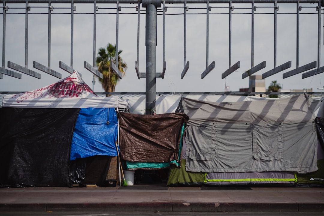 civic participation and voting rights for homeless citizens